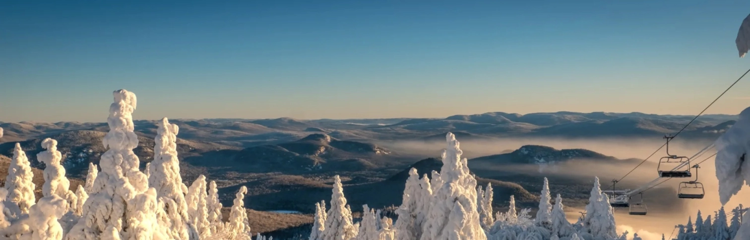 Eco bg