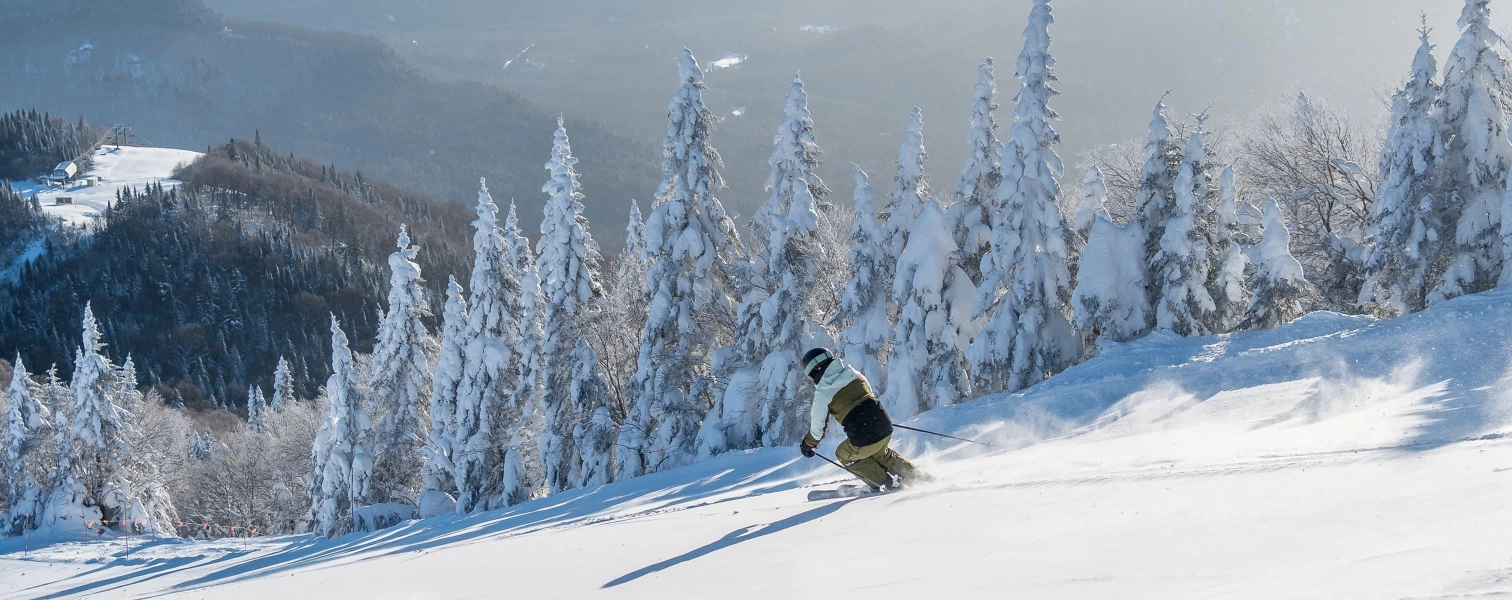 Produit ski hero