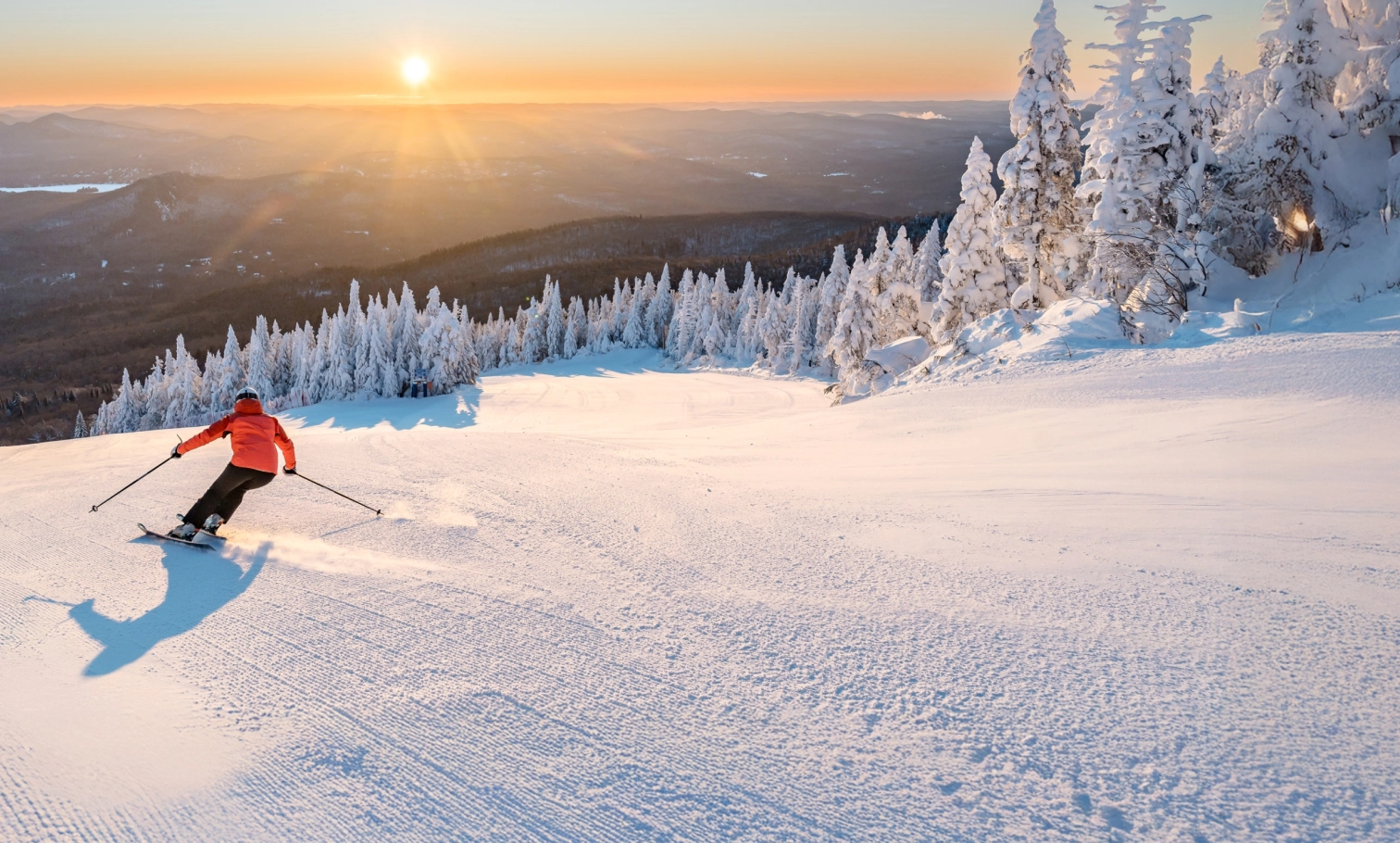 Launch nordik hero desktop 4