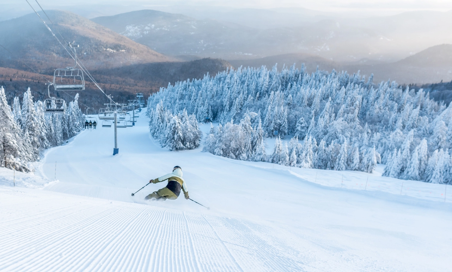 Renouvellement dink 2526 desktop