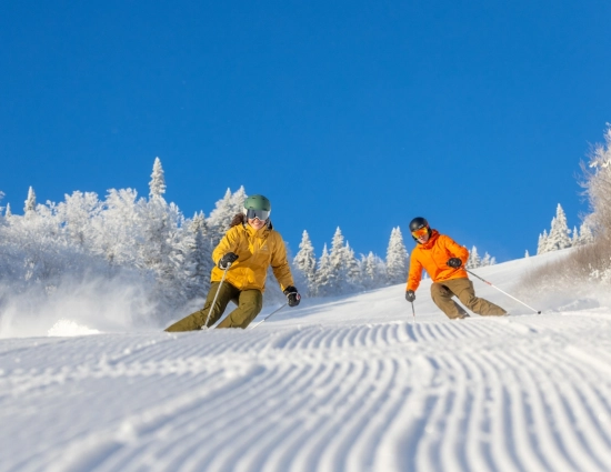 Offre dink launch ski 2025