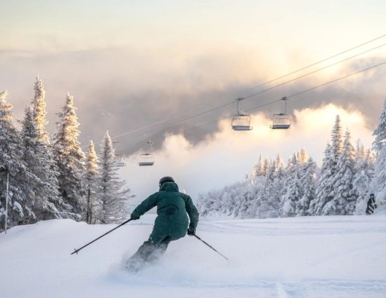 Tonik dink renouvellement offre