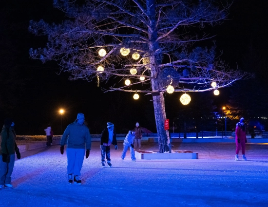 241227 FAM PATIN GY 3654