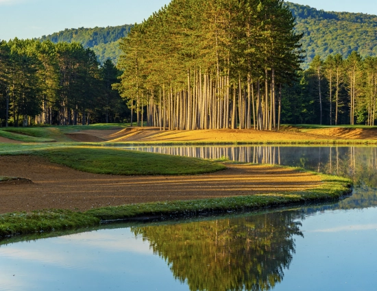 Screenshot 2026 04 01 at 3 37 19 PM