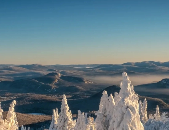 Eco bg