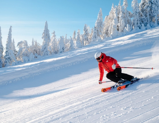 250311 DINK SKI FR 4335