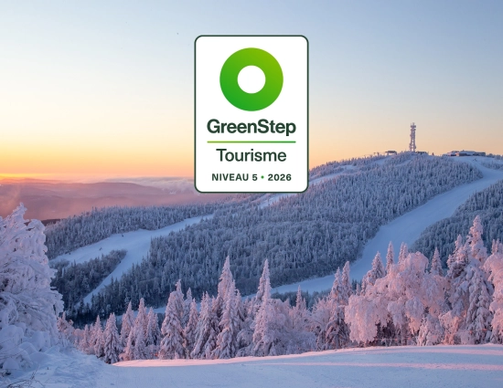 Green step image fr