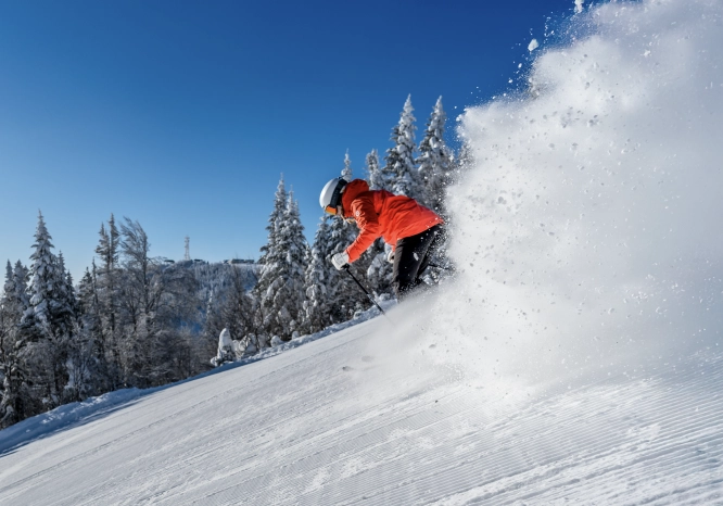 Screenshot 2026 02 27 at 2 21 01 PM