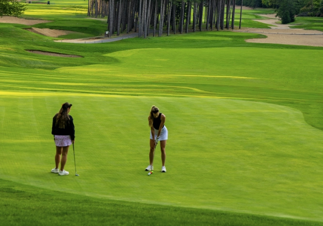 Screenshot 2026 04 01 at 3 34 11 PM