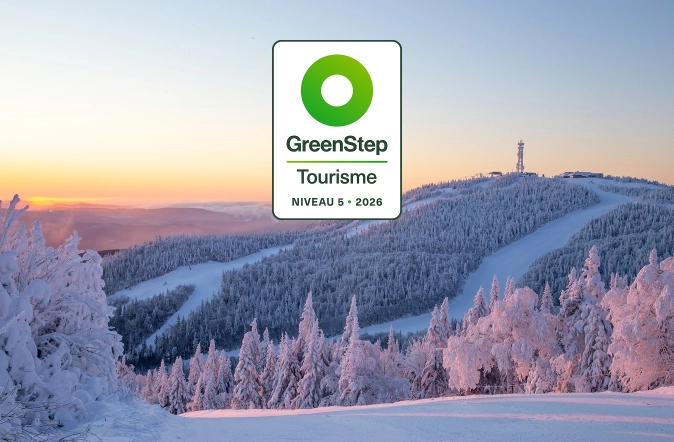 Green step image fr